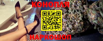гидра Заводоуковск