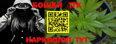 гидра Заводоуковск
