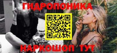 гидра Заводоуковск