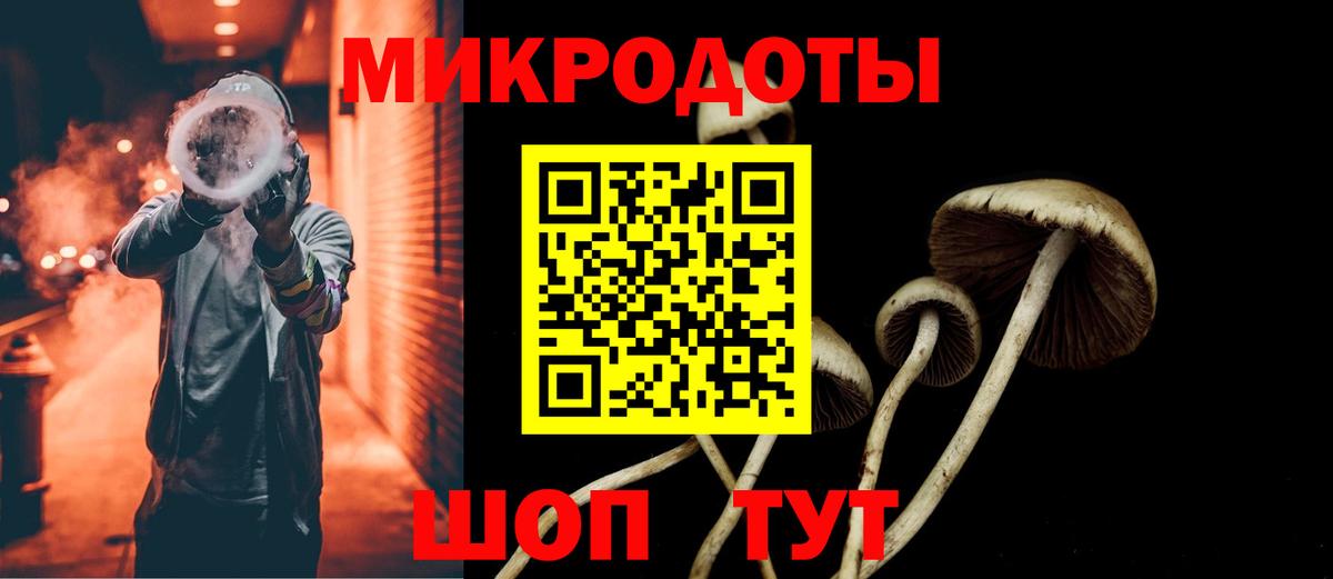 Псилоцибиновые грибы Cubensis Мирный